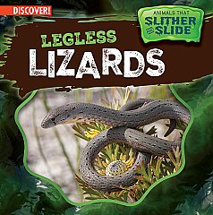 Legless Lizards (24)