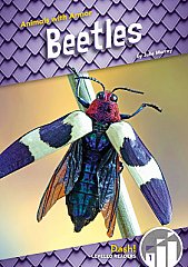 Beetles (22) Level 1