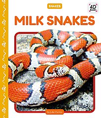 Milk Snakes (26)