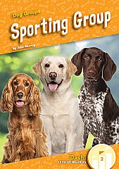 Sporting Group (24) Level 2