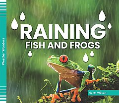 Raining Fish and Frogs (26)