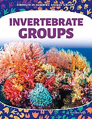 Invertebrate Groups (26)