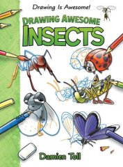 Drawing Awesome Insects (15)