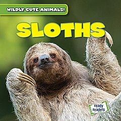 Sloths (26)