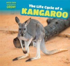 Life Cycle of a Kangaroo, The (16)