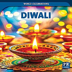 Diwali (26)