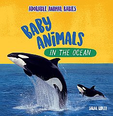 Baby Animals in the Ocean (26)