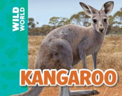 Kangaroo (17)