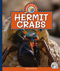 Hermit Crabs (25)
