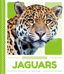 Jaguars (19)