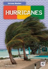 Hurricanes (20)