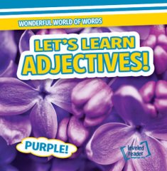 Let's Learn Adjectives! (19)