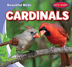 Cardinals (24)