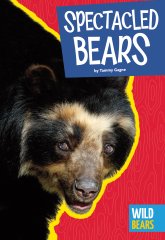 Spectacled Bears (16)