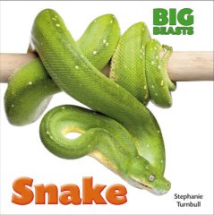 Snake (15)