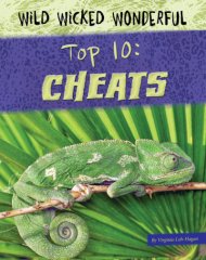 Top 10: Cheats (17)