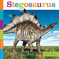 Stegosaurus (24)