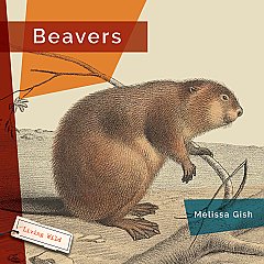 Beavers (24)