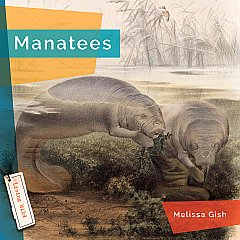 Manatees (24)