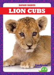 Lion Cubs (19)