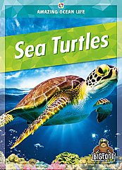Sea Turtles (23)