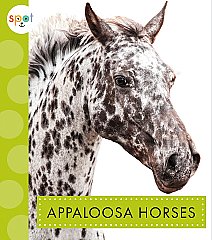 Appaloosa Horses (23)