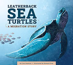 Leatherback Sea Turtles (26)