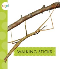 Walking Sticks (19)
