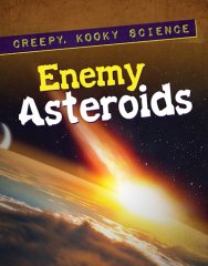 Enemy Asteroids (19)