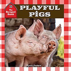 Playful Pigs (26)
