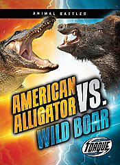 American Alligator vs. Wild Boar (23)