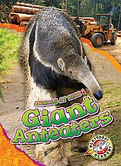 Giant Anteaters (24) Level 2