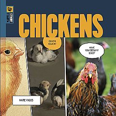 Chickens (26)