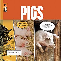 Pigs (26)