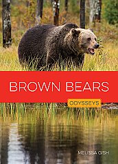 Brown Bears (26)