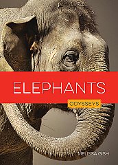 Elephants (26)