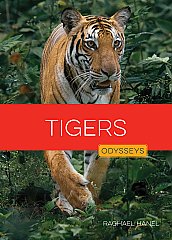 Tigers (26)