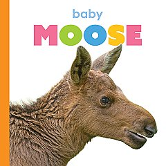 Baby Moose (26)