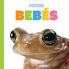 Ranas bebés (26)