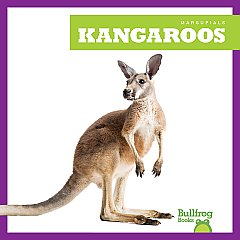 Kangaroos (25)