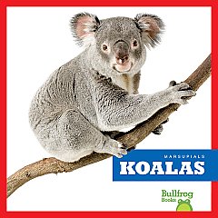 Koalas (25)