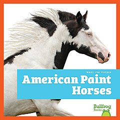 American Paint Horses (26)