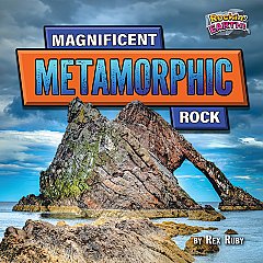 Magnificent Metamorphic Rock (25)