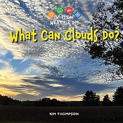 What Can Clouds Do? (26)