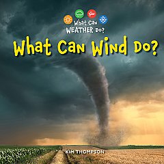 What Can Wind Do? (26)