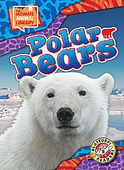 Polar Bears (25) Level 2