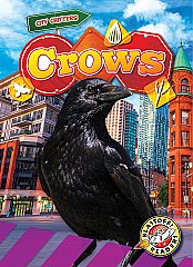 Crows (26) Level 1