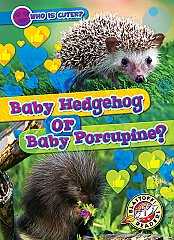 Baby Hedgehog or Baby Porcupine? (26) Level 1