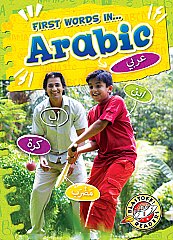 Arabic (26) Level 1
