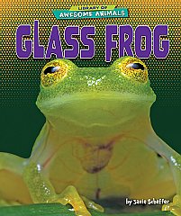 Glass Frog (26)
